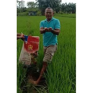 Pupuk NPK Prima Flora 151515