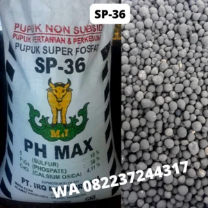 Pupuk Anorganik SP 36 (Fosfat Alam Granular)