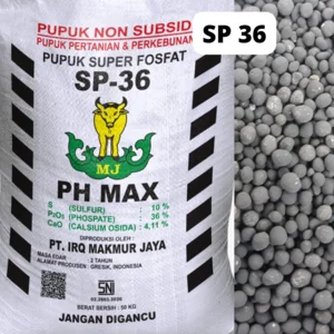 Pupuk Anorganik SP 36 (Fosfat Alam Granular)