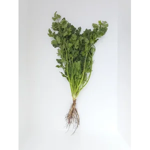 Sayuran Segar Yensui 1 Kg