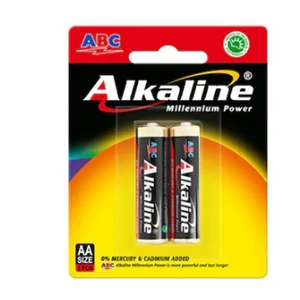 SMALL BATTERY AA ALKALINE 2 PIECES