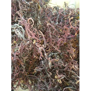 Rumput Laut Asin Kemasan 1kg