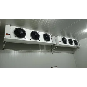 Sandwich Panel Cold Storage Room