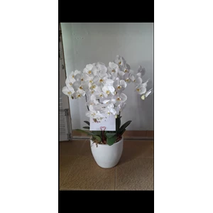 White Moon Orchid Flower Decoration