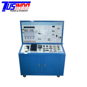 Gasoline Fuel Injection Control System with Auto Fault