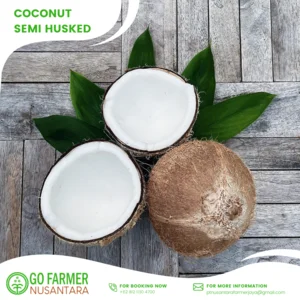 Kelapa Tua asal Pandegelang Banten