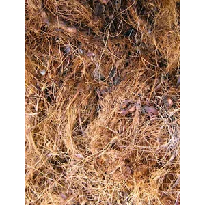 Dry Palm Fiber / Fibre