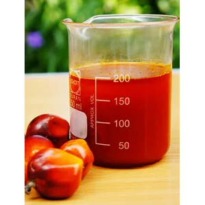Palm Oil Waste (POME / PAO)