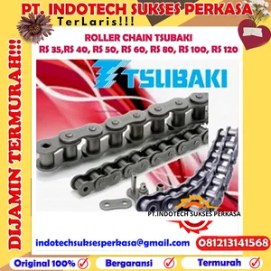 Roller Chain Tsubaki BS Bristis Standard