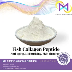 Bahan Baku Makanan & Minuman Fish Collagen Peptide Powder Kolagen Ikan Bubuk / Food Grade / Sumber Kolagen Alami / Pemeliharaan Kulit / Rambut & Kesehatan Joints