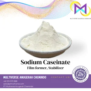 Bahan Baku Makanan & Minuman Sodium Caseinate / Food Grade / Protein Susu Terlarut / Penstabil / Emulsifier & Penguat Tekstur / Susu Bubuk