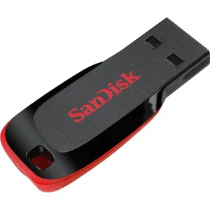 Gadget USB  Sandisk Flashdisk 8GB