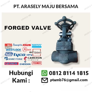 Forged Steel Gate Valve Carbon