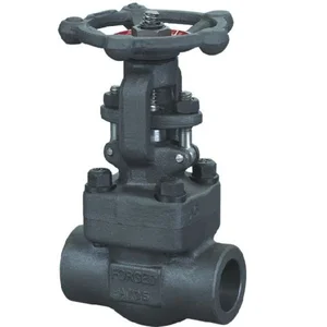 Forged Steel Gate Valve Carbon