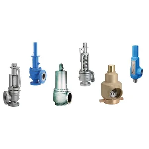 Pressure Safety Relief Valve CROSBY