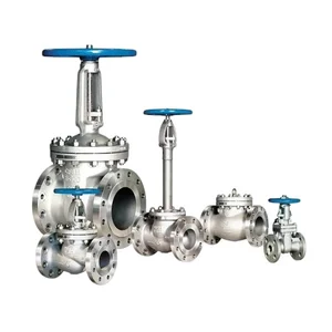 Globe Valve VELAN 2 inch - 20 inch