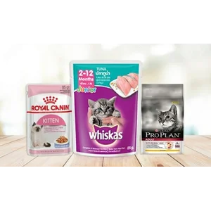 Makanan Kucing Terlengkap Dan Terbaru