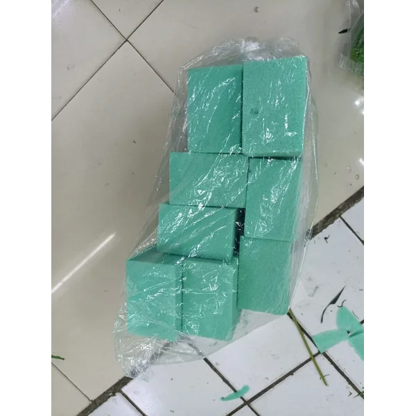 Kebutuhan Tambahan Untuk Tanaman Hias (BUSA KERING)