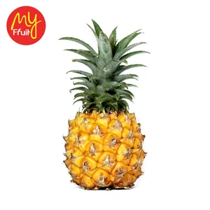 My Fruit Nanas Madu Belik Mini 1 pcs