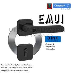 Handle Pintu Smart Lock DG/ONS EMUI 3 in 1