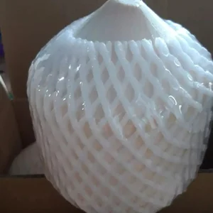 Buah Kelapa Fresh Per Butir