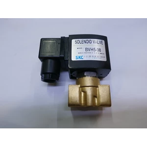 Solenoid valve - BVH5-08 - SKC