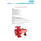 Hydrant Electric Pump NFPA 20 Maxon 22