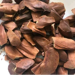 Biji Mahoni 1 Kg Kualitas Ekspor