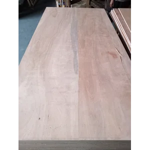 Triplek 12 mm semi meranti grade KW2 Reject