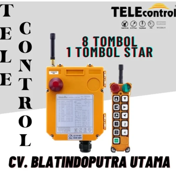 overhead electric winch TELE Control Remote Control Switches F24-8D