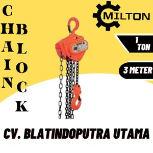 overhead crane hoist milton Chain block 1t*3m(HZB type)