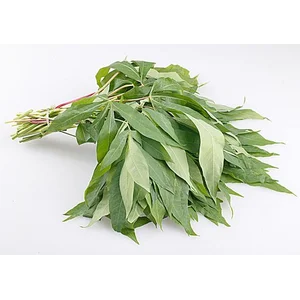 Daun Singkong Beku Berat 5-10 Kg Per Box
