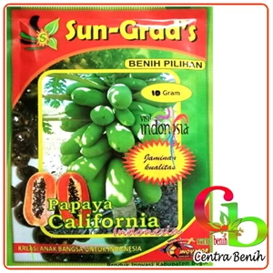 10 gr superior California papaya seeds Sun Grads - superior California papaya seeds