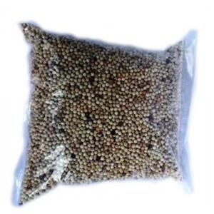 White Pepper Seeds Spices Original