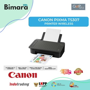 CANON PIXMA TS307 PRINTER WIRELESS