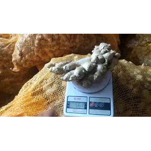 Jahe Gajah & Sudah Cuci 