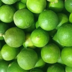Fresh Fruits / Lime / lime