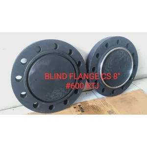 Blind flange rf cs a105 ansi 150 6"