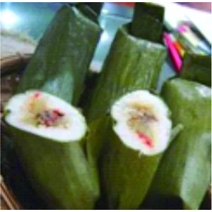 Lontong Spesial Isi Daging Ayam Lezat