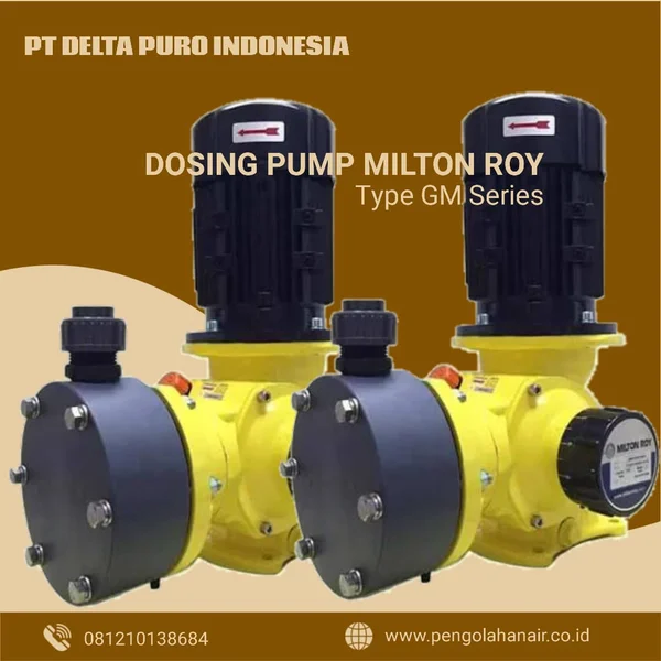 Dosing Pump Milton Roy GM0025