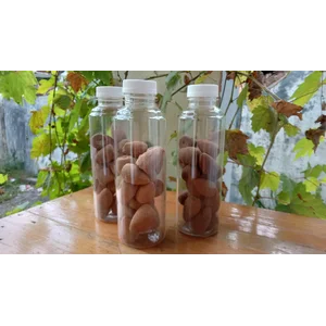 Dupa Kerucut Mini dalam botol pet