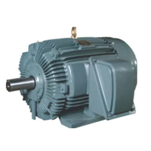 Electric Motor Roda Gigi Teco Induction