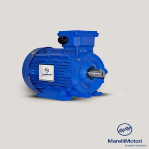 Electric motor 3 Phase Marelli B3 55 kw 