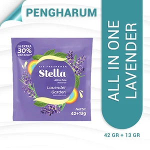 Stella All In One Secret Lavender 42gr