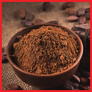 COKLAT BUBUK DELFI DF760 COCOA POWDER 25KG