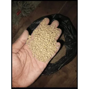 Pakan ternak Pelet Bebek Maju Terus Abadi