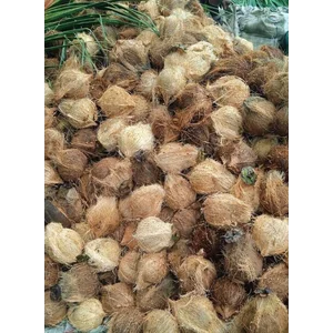 kelapa segar kualitas terbaik perbiji