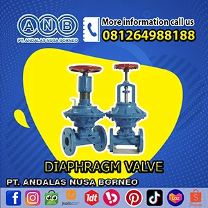 DIAPHRAGM VALVE 3 INCI ANDALAS NUSA BORNEO