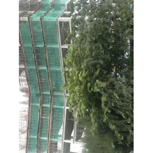 Jaring Kasa Hijau
