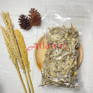 Ikan Asin Teri Jengki 500 Gram 